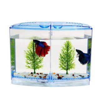 Mini Betta Fish Double House Tank Rectangle Aquarium Tank  (1 L)