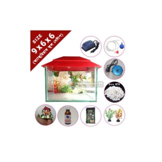 Full Setup Glass Made Deshi Aquarium For Fish (Small Size 9x6x6 Inches)