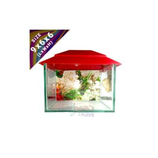 9x6x6 Inches Deshi Glass Made Multi Color Small Aquarium For Aquarium Fish Culture (Size 9 Inch)