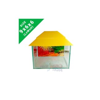 Protki Agro Farm High-Quality 9x6x6 inch Small Fish Tank for Aquarium Enthusiasts