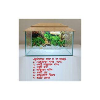 Glass Made Deshi Aquarium For Fish With All Accessories You Don't Have To Buy Anything (Big Size 18x9x10 Inches)