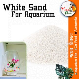 Aquarium White  sand