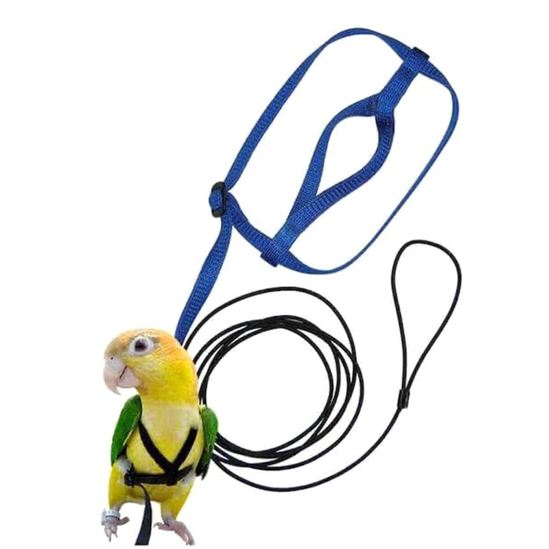 Adjustable Parrot Bird Harness Leash Anti-Bite Flying Training Rope Pet Outdoor Traction Fit Budgerigar Lovebird Cockatiel Mynah Small Birds