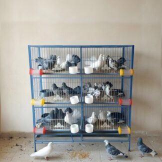 Heavy Duty Metal Pet Cage for Birds, Pigeon, Chicken, Cat & Small Pets โ 1 Floor to 8 Floor Choosable Size Cage with Divider & Free Tray