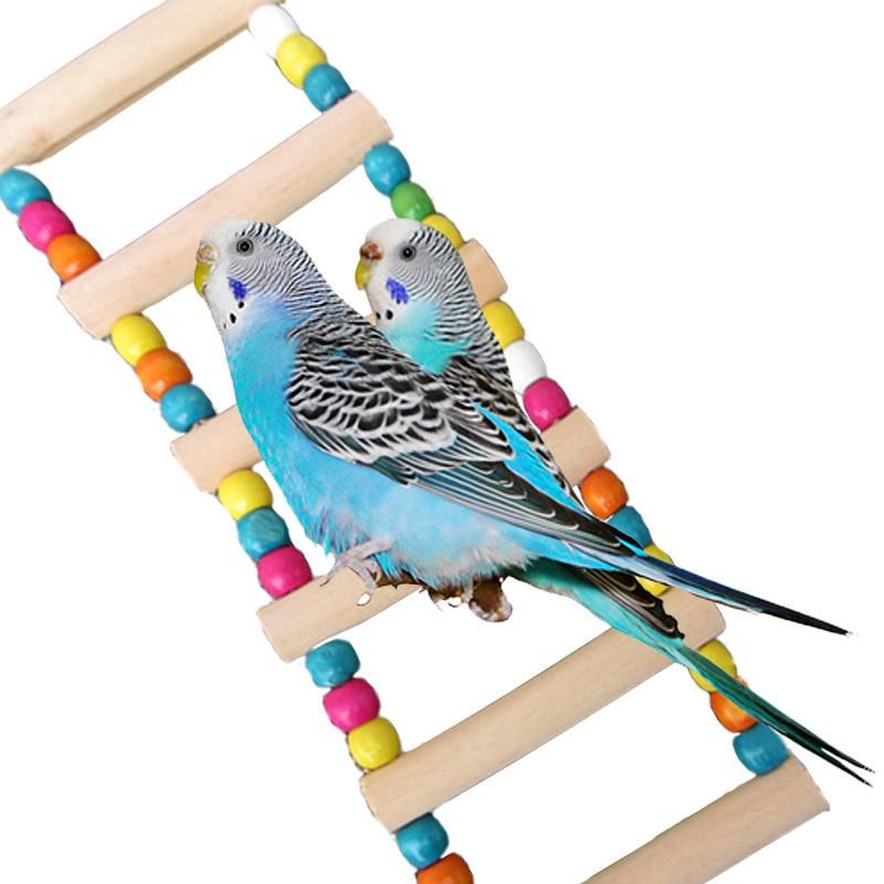 4 Styles Small Birds Toys Pet Toy Accessories Drawbridge Bridge Wooden Singing Cockatiel Parrot Toys - 13 ladders with 1 bead interval