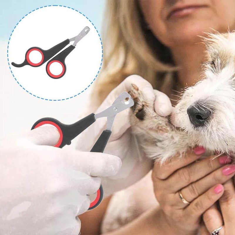 Cat Nail Clipper by Pet Republique โ Professional Stainless-Steel Claw Clipper Trimmer for Cats, Kittens, Hamster, Rabbits, Birds, & Small Breed Animals