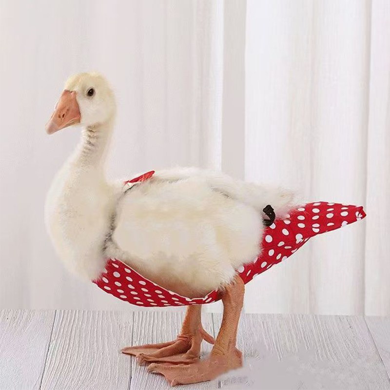 2026 NEW Kodak Duck Diaper Bellyband Adjustable Bird Flight Clothes Pooper Diapers Flight Suits Vests Pet Supplies