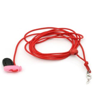 Small birds harness