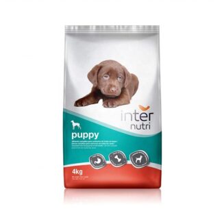 INTERNUTRI Puppy Dry Dog Food Premium Quality 4kg Pack