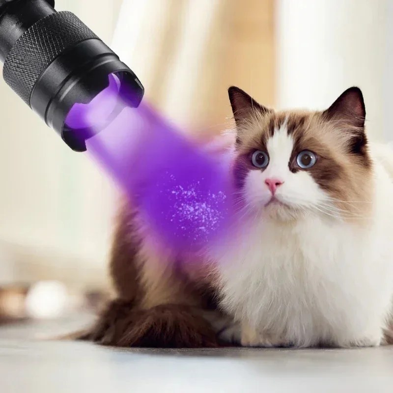Wavelength Violet Flashlight UV LED Portable Flashlight 395nm Black Light Pet Urine Scorpion Feminine Hygiene Detector